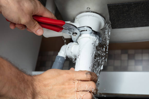 Best Basement water damage restoration  in Williamsport, OH