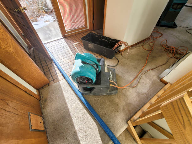 Best Emergency water damage restoration  in Williamsport, OH