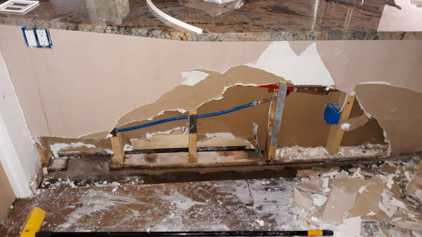 Best 24/7 water damage repair  in Williamsport, OH