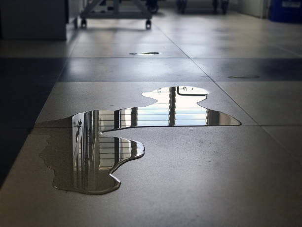 Best Local water damage restoration  in Williamsport, OH