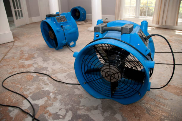 Water damage restoration process in Williamsport, OH