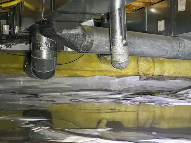 Best Water damage cleanup near me  in Williamsport, OH