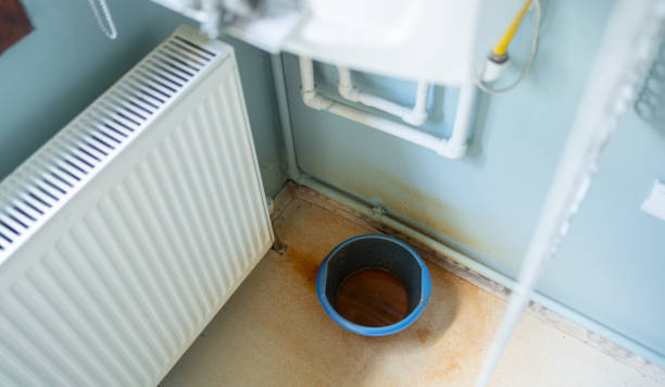 Best Ceiling water damage repair  in Williamsport, OH