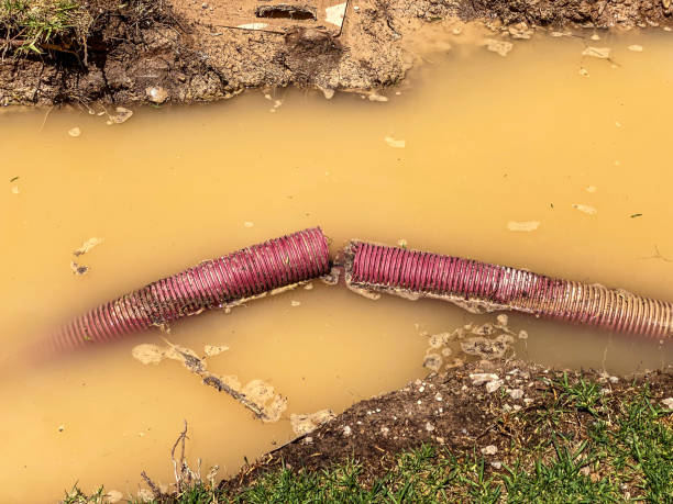 Best Flood restoration services  in Williamsport, OH