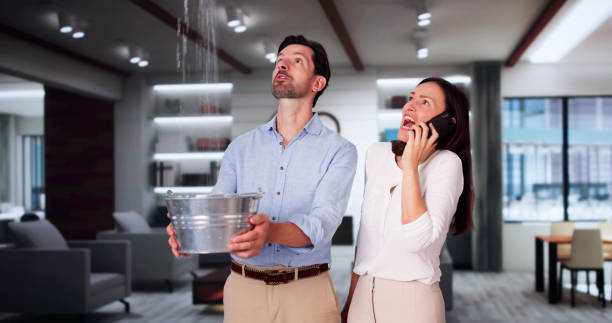 Best Flooded house restoration  in Williamsport, OH