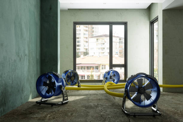 Best Fire Damage Restoration  in Williamsport, OH