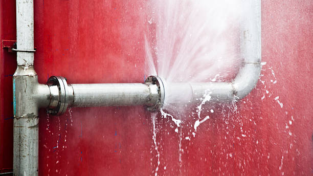 Best Mold removal after water damage  in Williamsport, OH
